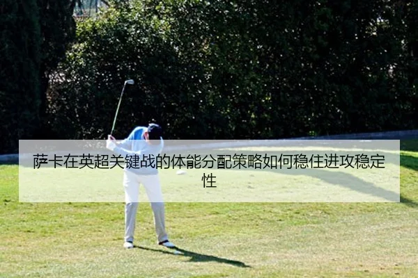 sa-ka-zai-ying-chao-guan-jian-zhan-de-ti-neng-fen-pei-ce-lve-ru-he-wen-zhu-jin-gong-wen-ding-xing-2-760.jpg